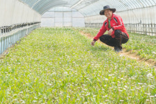 자생력 강한 토종의 힘을 믿습니다