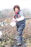 충북 진천군 선화 천년초 농장 차정순 대표