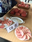 홍천 복숭아 대홍...도매시장 경쟁력 인정