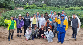 제천시연합회, 수해 현장서 농산물 수확 봉사