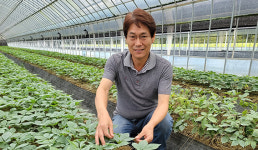 주산지 탐방-안성시 고려인삼유기농협동조합