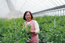 산채·여름작물 사이짓기로 농가소득 올려요