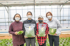스마트농법 활용한 농산물 재배 눈길