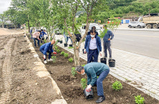 구례군연합회, 수국 꽃길 조성에 구슬땀