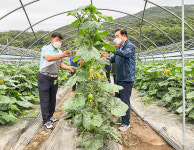 서일환 대전광역시연합회장, 회원농가 일손돕기 나서