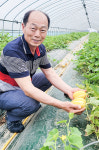 소비자 사랑 듬뿍 받는 성주참외 명품화 이끈 주역