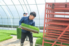 과학영농 실천 농가를 찾아서 - 충남 당진시  광야농장