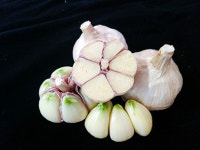 명품 마늘홍산, 다양한 유통망 통해 진출