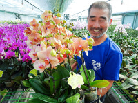 세계가 인정한 호접란 명가 상미원