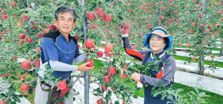 열정과 땀으로 일군 명품사과 주신복(福) 농원