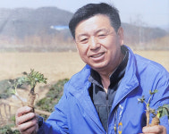 영흥 당귀 개발해 국내 당귀산업 새 지평 열어