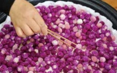 함께하기에 웃음꽃이 만발