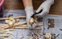 몸과 마음 지키는 밥상공동체