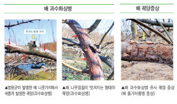 농진청, 과수화상병 사전 예방 집중 방역 추진