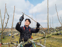 신젠타코리아, 청년농업인 네트워크 19인 선정
