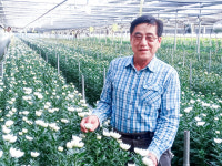 국화산업 수출 경쟁력 이끈  변태안 명인