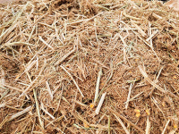 탐방-익산 승일농장