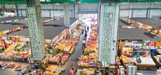 정부, 현실성 있는 도매시장 운영·재지정 조건 마련해야