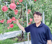 문경시 뫼와구름골사과영농조합법인