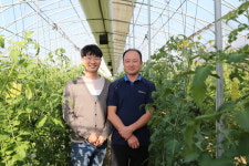 충남 부여  토마투농장 정택준 대표
