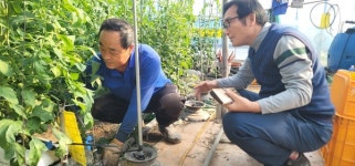 신개념 점적호스 아그레보(AGREVO) 농가 관심 집중