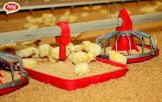 ㈜하림, 닭고기 수급 불안 해소 위해 사육 늘린다