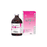 주목! 이 제품  /  에스비신일(주)  비고톨-하이 주