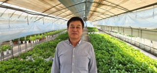 경기 하남 여인진 수국 명장