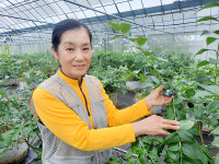 진천블루베리연구회