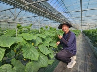 전남 고흥 개구리가 사는 오이 농장 염동일 대표
