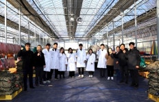 강원특별자치도농업기술원 옥수수연구소
