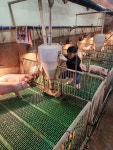 축산농장, 겨울철 철저한 가축 관리·방역 필요