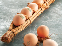 농협안심계란, 할인판매...계란농장 돕기 일환