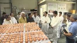 양계농가의 하소연 듣는 김 장관