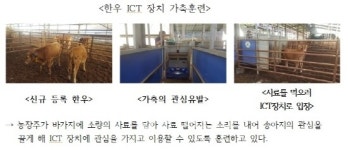 스마트 팜, 가축도 충분한 적응 훈련 필요
