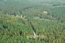 [기획] 2018년 산림제도, 이렇게 달라진다