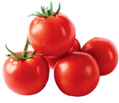 동오시드...멜론, 토마토, 옥수수 우수종자 소개