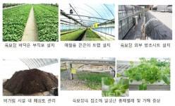 고품질 고추생산 육묘관리부터