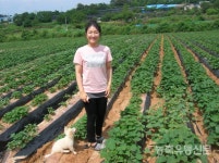 [청년농업인시리즈②] 가락시장 최고 경락가 강보람고구마