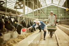 민간 배합사료업체 이달부터 가격인상 단행