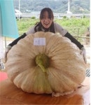 265kg 역대 최고 무게 호박 나왔다