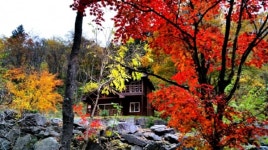 국립자연휴양림 포토에세이 공모, 11월 30일까지 연장 접수