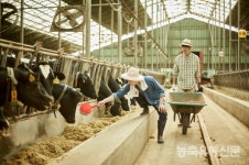 진입 문턱 좁아지는 축산업…생산성·환경 수준 높여야