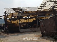 의정부지검, 한국양계농협 김인배 조합장 내외 기소