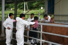 2019년 첫 가축인공수정사 시험 143명 합격…합격률 23.4%