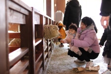 [창간특집] 치유목장에 피는 각양각색 건강 웃음꽃 활짝