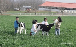[창간특집] 치유목장에 피는 각양각색 건강 웃음꽃 활짝