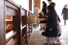 [창간특집] 치유목장에 피는 각양각색 건강 웃음꽃 활짝