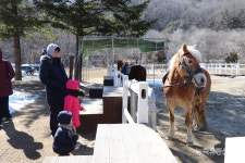 [창간특집] 치유목장에 피는 각양각색 건강 웃음꽃 활짝