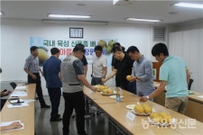 조생종 대과 배 한아름 시장서 합격